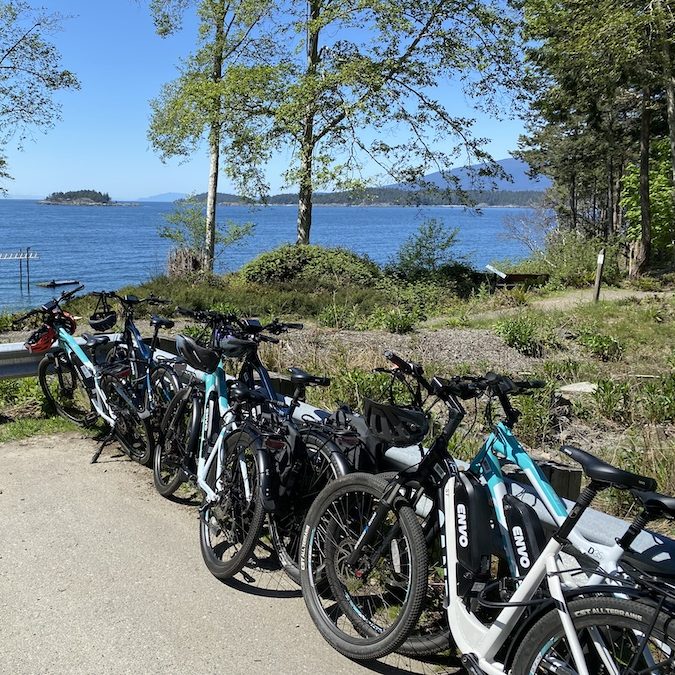 Bike group visiting the cape, all parked along the side railing.