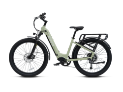 ST-50, Small Cactus Green, 2024