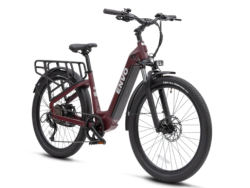 ST-50, Large Maroon 2024 (new eBike)