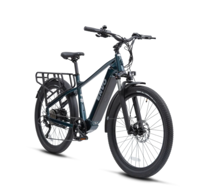 D50, Large Aquatic Blue, 2024, ex-rental eBike - Image 3