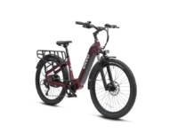 ENVO ST50 is an e-bike that functions as a commuter and cargo carrier. Its rugged frame coupled with suspension fork allows for smooth rides on any terrain. Powered by a 750W motor, the bike's cargo rack and basket can easily transport tools, groceries, or even second passenger.