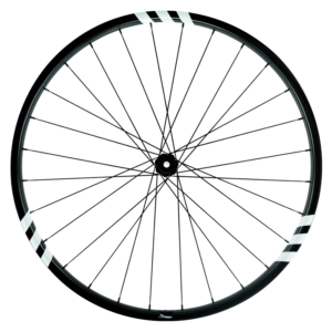 cutout of bike wheel. Shows spokes, and side profile of a fixed wheel with working fixed spokes.