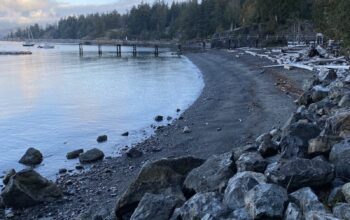 tunstall-beach Tunstall beach shortly after sunrise